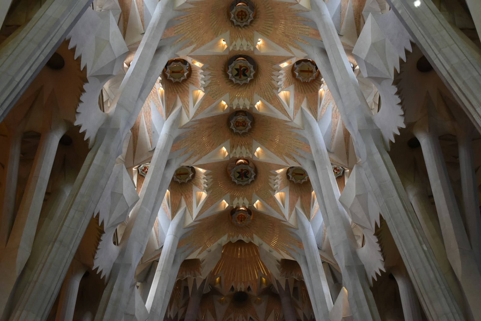 The branching stone columns and vaulted ceiling inside the Sagrada Família